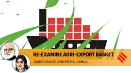 Opinion 3 (36) no alt set