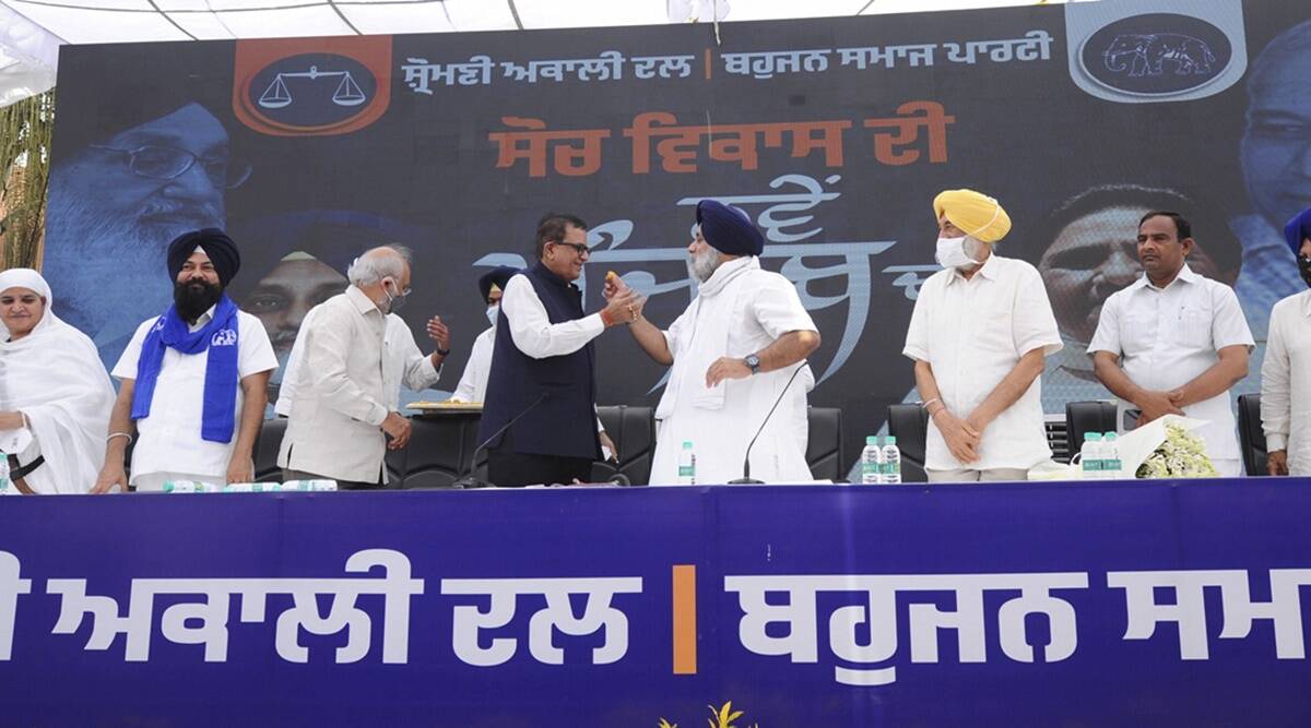bsp sad alliance punjab