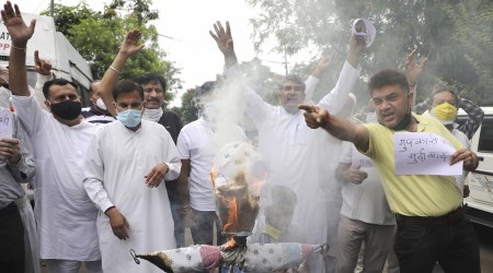 J&K National Panthers party activists set ablaze an effigy during a protest against alleged 'Kashmir appeasement policy' outside party headquarters in Jammu, Sunday, June 20, 2021. (PTI Photo)