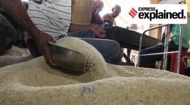 one nation one ration card, one nation one ration card scheme, ONORC scheme, Supreme Court on ONORC scheme, SC on ONORC