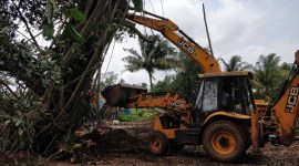 World Environment Day: Activists to protest against proposed tree felling by transportation plan