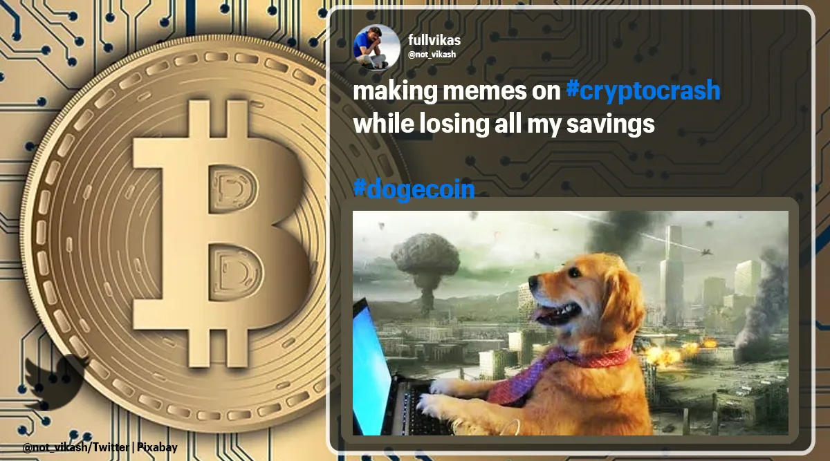 coin trending amid crypto crash as fans share hodl memes