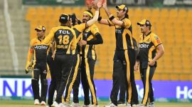 Peshawar Zalmi, PSL