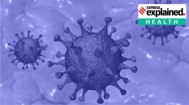 Delta is likely to infect “large numbers” of unvaccinated people, Dr. Peter Hotez said.
(Representational)