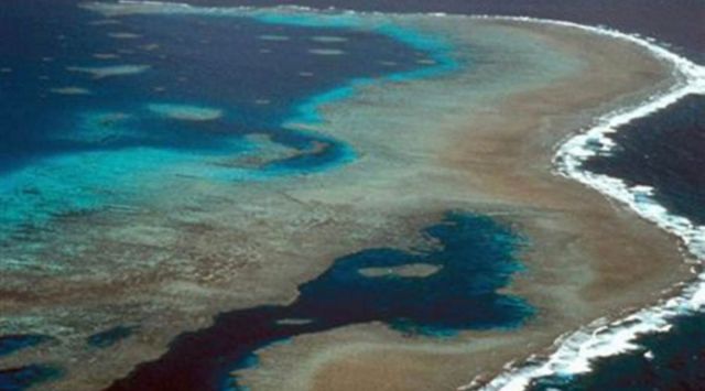 Great Barrier Reef Should Be Listed As ‘in Danger’, Un Committee 