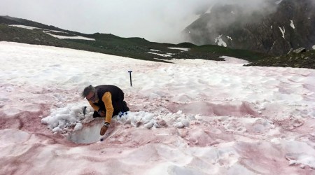 Glacier blood? Watermelon snow? Whatever it’s called, snow shouldn’t be so red.