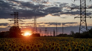 Ukraine, Soviet Union, USSR, Eastern Europe, International news, Free market, Free trade, Trade deals, Trade restrictions, Food security, Food crisis, Food production, Farming, Modern farming, modernisation, Volodymyr Zelensky, farmers, Ukrainian economy, Economic boom, Capitalisation, Import and export,