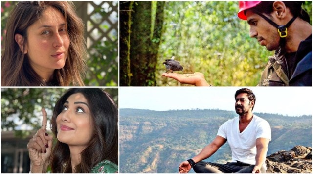Bollywood actors shared wishes for World Environment Day 2021 on their social media platforms. (Photos:  Kapoor, Ajay Devgn, Shilpa Shetty, Sidharth Malhotra,/Instagram)