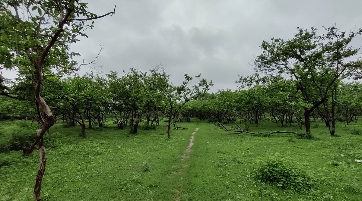 The Ayodhya land that is under question. (Express photo by Avaneesh Mishra)
