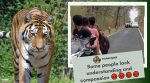 biker block tigers path, Tadoba national park bikers video, biker stop film tigers Tadoba national park, maharashtra forest department, indian express