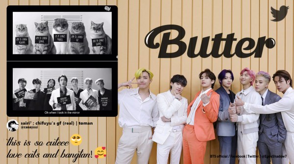 bts butter, bts butter music video, butter cat version, bts butter cat spoof, bts butter hit 100, butter chart records, bts butter records, viral news, indian express