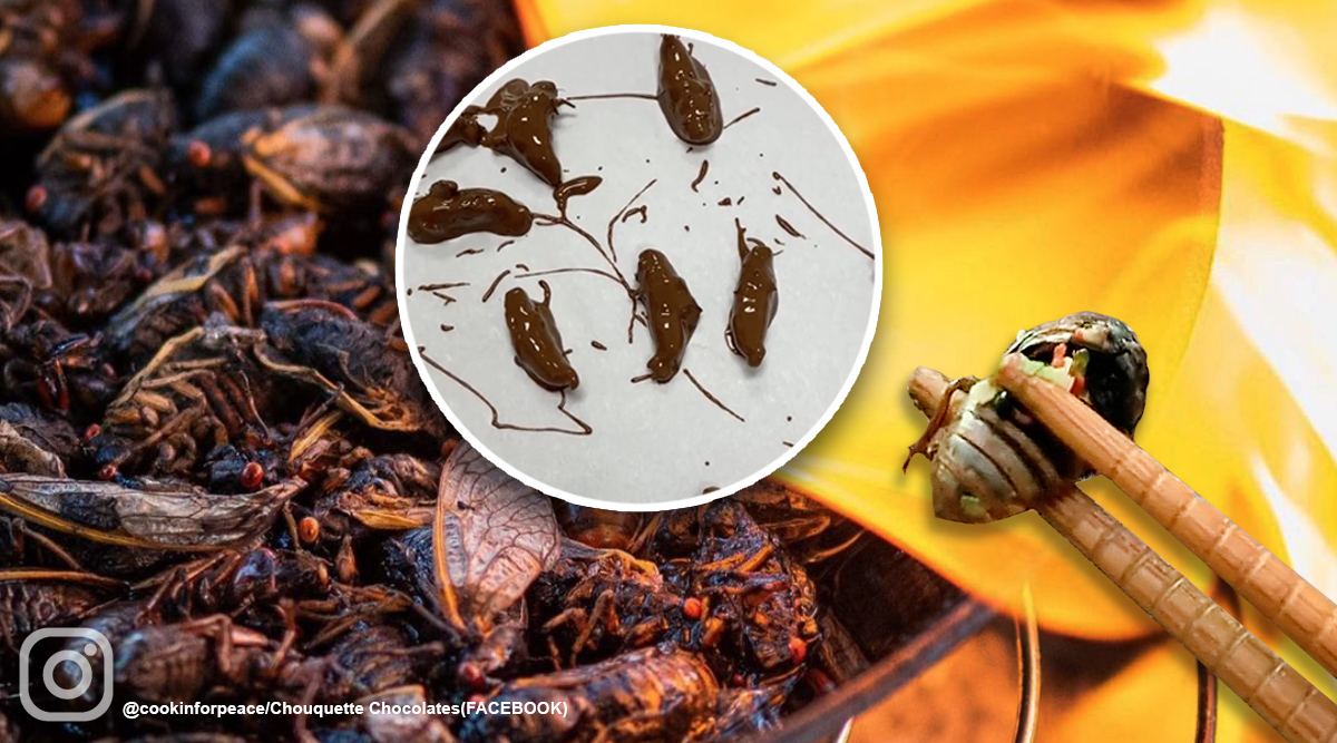 As cicadas emerge in the US after 17 years, insect delicacies take over social media