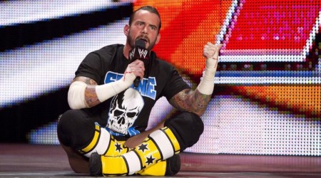 cm punk, wwe