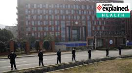 covid origin no alt set