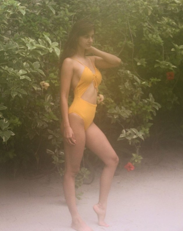 disha phtosss