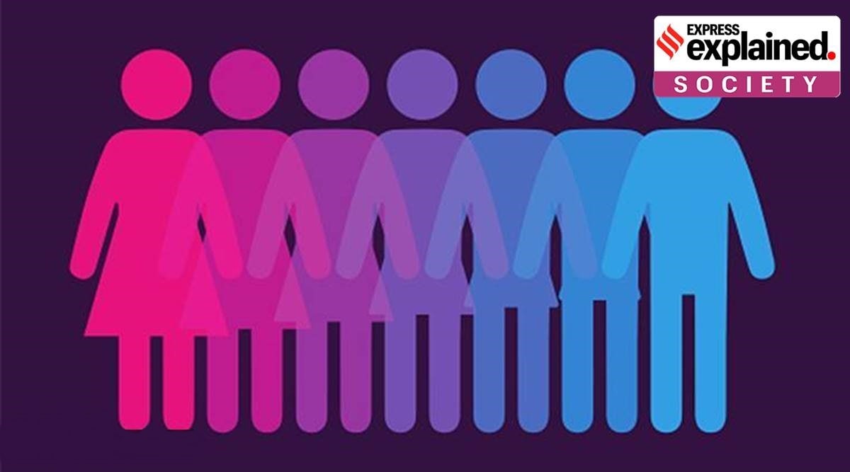 In Europe, this issue has remained divisive not only on liberal-conservative lines, but also within the LGBT community. (Getty Images/File)