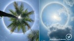 Hyderabad halo, halo, Rainbow-Coloured Halo Around Sun, rare optical illusion, Samyukta Hornad, twitter reactions, indian express, indian express news