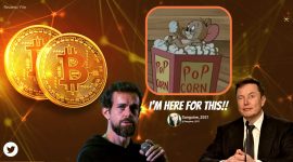 Elon Musk, Jack Dorsey, bitcoin, dogecoin, bitcoin elon musk jack chat, twitter tesla ceo bitcoin banter, viral news, cryptocurrency news, indian express