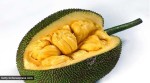 jackfruit flour