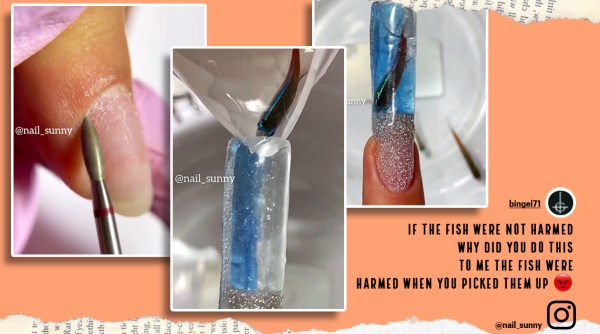 live fish used in nail art, aquarium nail art, aquarium nail manicure, live fish manicure, nail sunny live animals manicure, viral videos, indian express