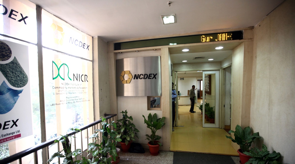 LIVE NCDEX NOW