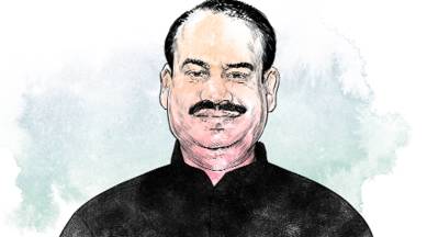 Delhi Confidential: Pitching In