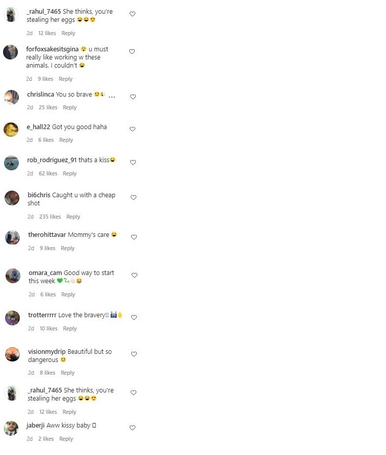 Python attacks California zookeeper, terrifying video goes viral ...