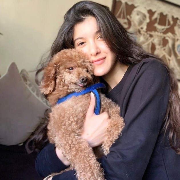 shanaya kapoor dog death