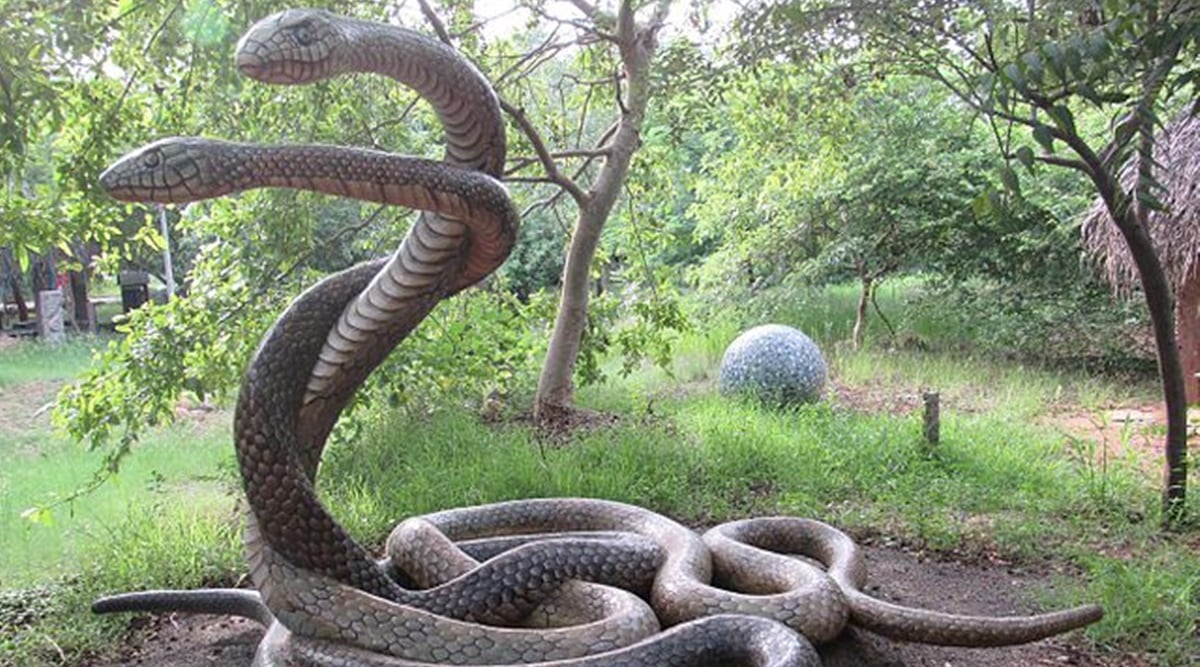 chennai snake park, chennai snake park shut, covid news chennai, chennai news, covid tamil nandu, indian express