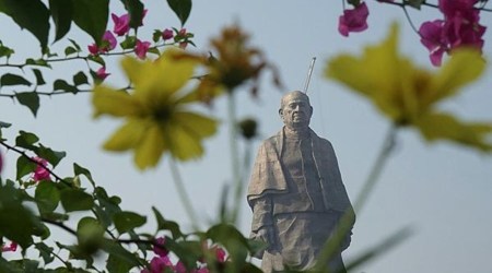 Statue of Unity: Illuminated installations of lotus, unity in diversity to come up at Glow Garden