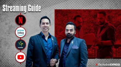 raj and dk movies online