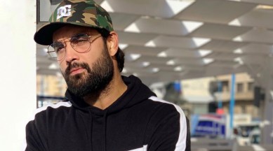 vivian dsena,