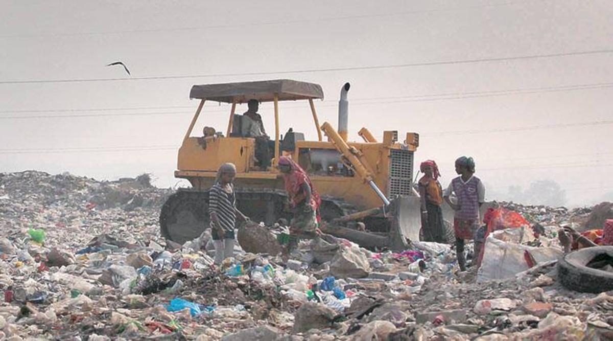 Chandigarh: User charges for waste collection slashed, House calls for fresh tenders for sweeping