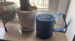 Sony, Sony SRS-XB13 review, Sony SRS-XB13, Sony Bluetooth speaker, Sony audio, Sony Music, Sony wireless speaker, Sony review,