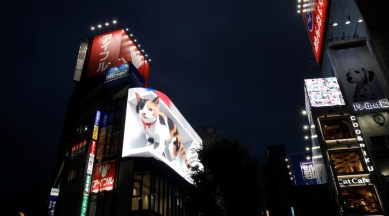 3D cat, 3D cat display in Tokyo, 3D cat screen, Ultrarealestic display, Japan, Tokyo, viral video, Trending news, viral news, Indian express news