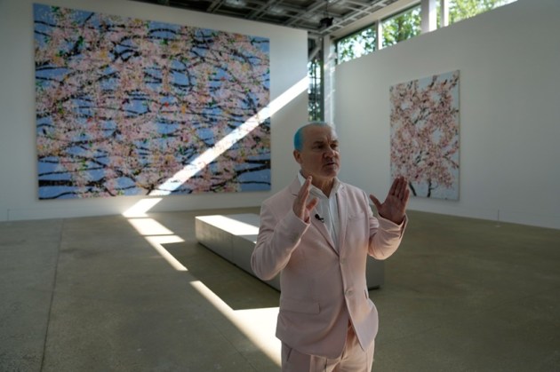 Talking about Cherry blossoms