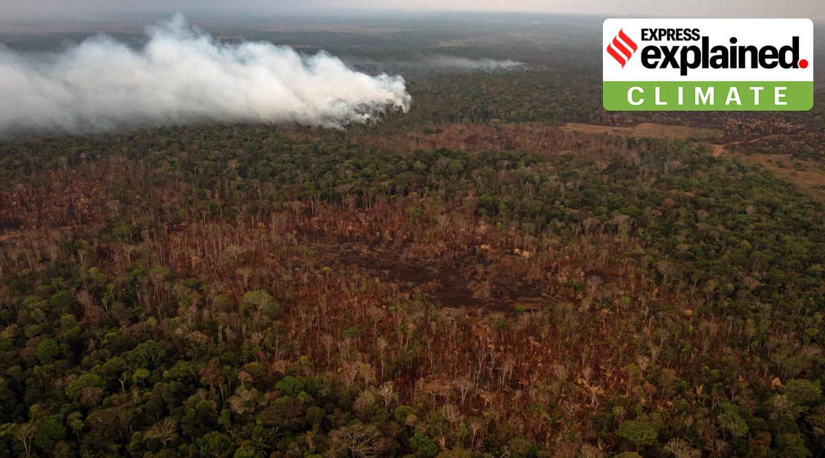 Burning near Porto Velho, in Rondônia state in Brazil, on Aug. 26, 2019.  (Photo Source: NYT)
