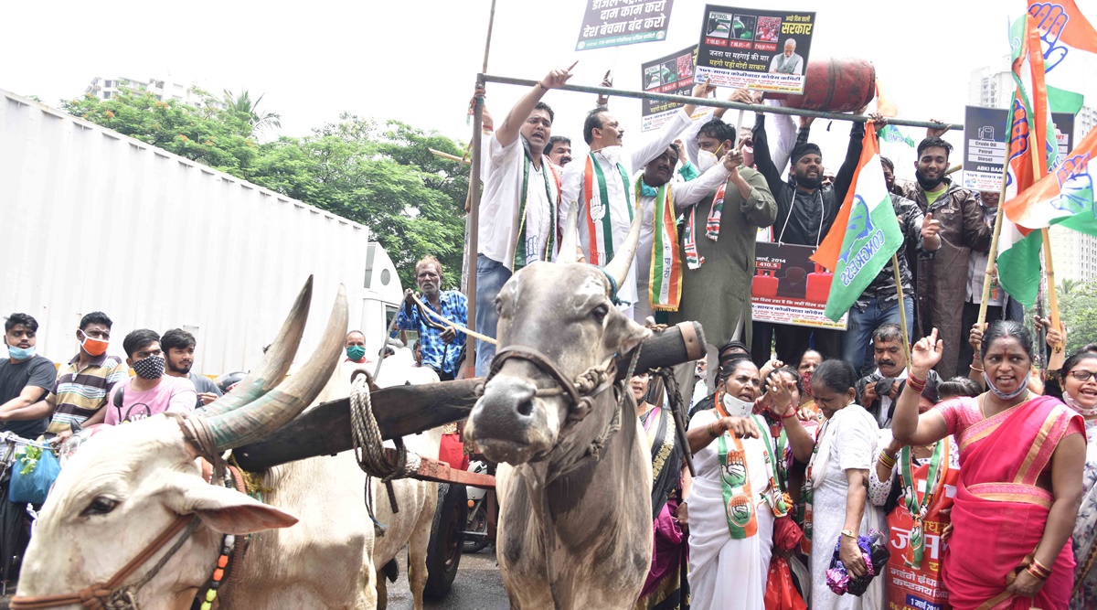 Video: Bullock cart carrying protesting Mumbai Congress workers collapses