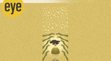 bivash barua illustration