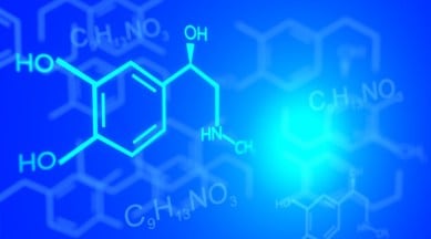 clean science and technology ipo