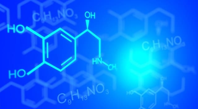clean science and technology ipo