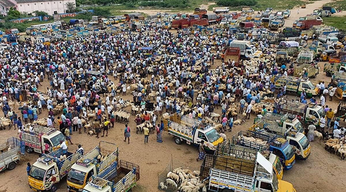 The festival is scheduled to be celebrated later this week. (Representational Image)