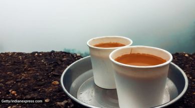 craving tea, tea cravings, monsoon tea craving, healthier alternatives for traditional tea, healthy tea options, different kinds of tea, Green tea, Infusion tea, Iced green tea, Black tea, Herbal tea, indian express news