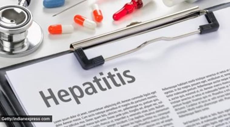 Hepatitis B, Hepatitis 