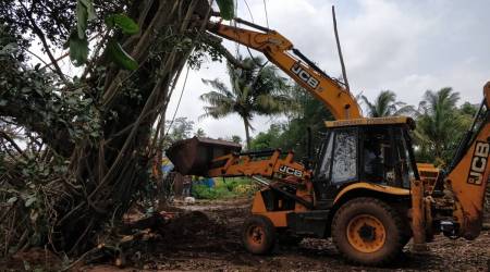 The court directed the tree authorities in the state to meet at least once in three months and also carry out a tree census in one year. (Representational Photo)
