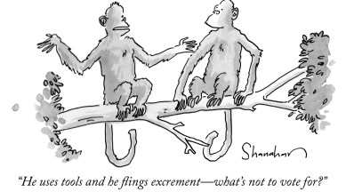 danny shanahan