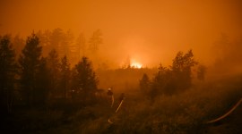 Russia wild fires
