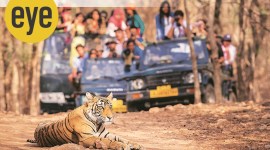 Ranjit Lal column, Sunday eye 2021