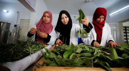 Gaza women create cosmetics, Gaza women cosmetics herbs, Gaza women cosmetics GG