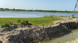 Sithalapakkam lake, Chennai